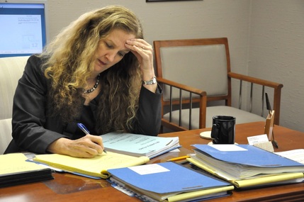 Photo of attorney N. Diane Holmes